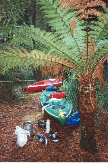  SOTs in the Rainforest, Gordon River 1997
